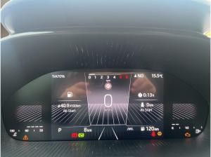 Skoda Fabia Tour SOFORT VERFÜGBAR! ACC Kamera DynLicht LM