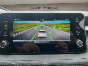 Skoda Fabia Tour SOFORT VERFÜGBAR! ACC Kamera DynLicht LM