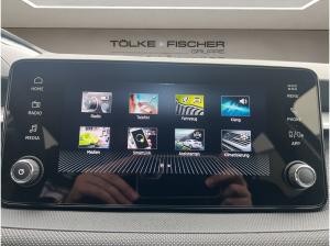 Skoda Fabia Tour SOFORT VERFÜGBAR! ACC Kamera DynLicht LM