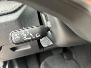 Skoda Fabia Tour SOFORT VERFÜGBAR! ACC Kamera DynLicht LM