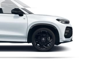 Volkswagen Tayron 2.0 TDI DSG R-Line BlackStyle Leder Pano AHK Winterräder