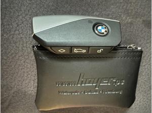BMW iX1 xDrive30 xLine (Allrad)