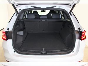 Skoda Kodiaq 2.0 TSI RS 4x4 AHK|RemotPark|HuD|Sound|360