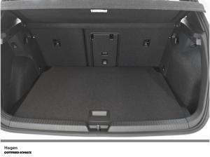 Volkswagen Golf R-Line 1.5 eTSI (Hagen)