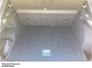 Cupra Terramar 2.0 TSI  (Benrath)