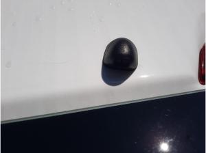 Ford Transit Courier Trend PDC Rückfahrkamera