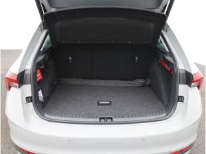 Skoda Scala Selection 1.0 TSI DSG / Matrix, ACC, AHK