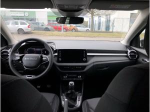 Skoda Fabia SELECTION 1.0 TSI WSS BEHEIZT+SHZ+PDC+ALU