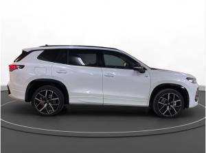 Volkswagen Tayron 2.0 TSI 4M R-Line AHK Pano Matrix LM 20" 360°