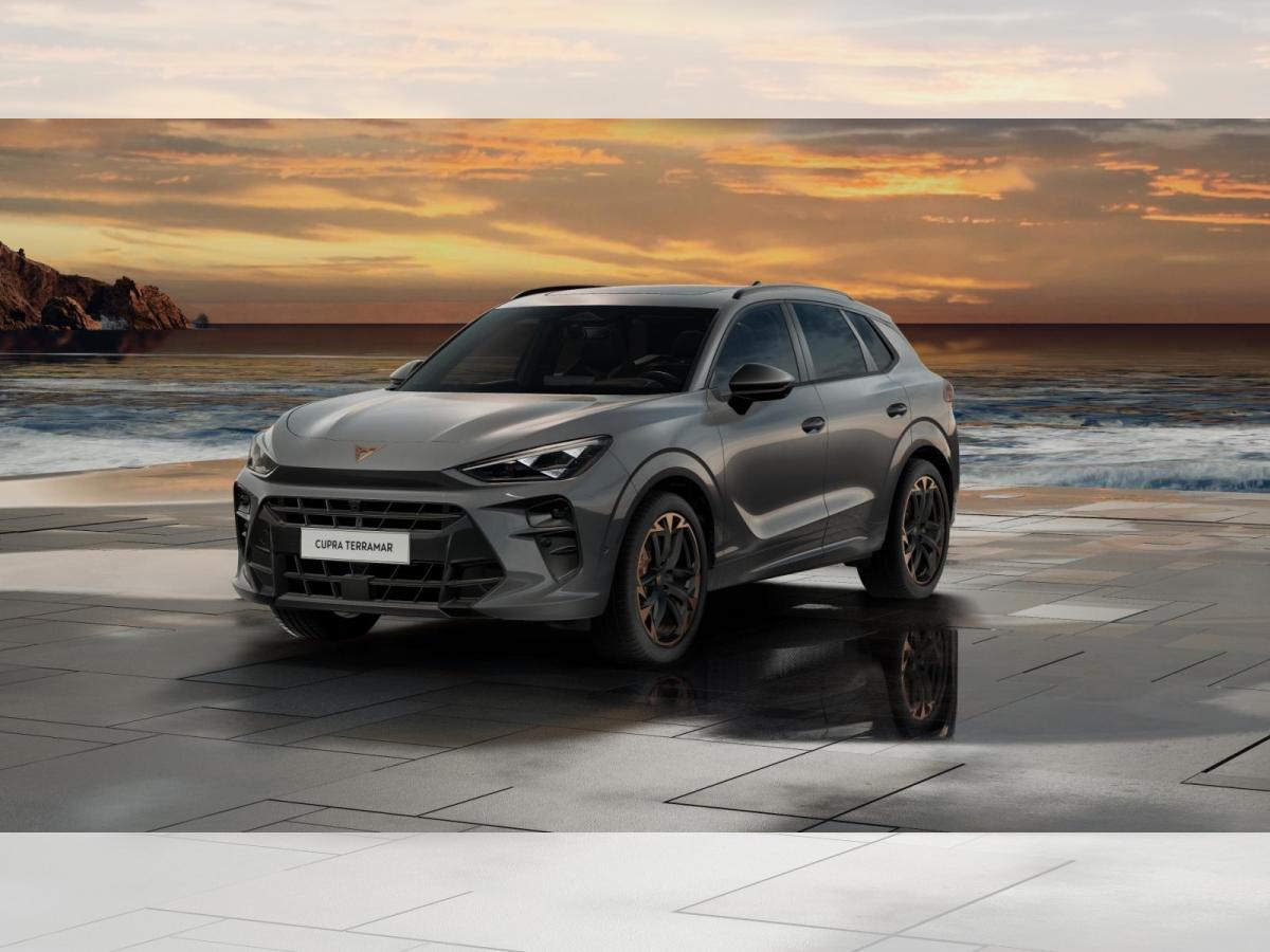 Cupra Terramar VZ *PANO*AKEBONO*🔥Herbstaktion🔥
