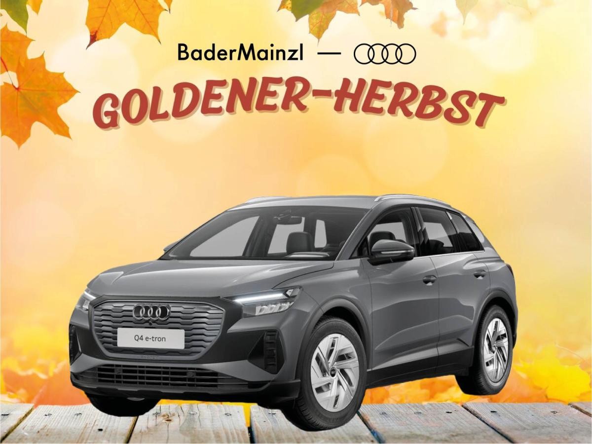 Audi Q4 e-tron "Herbst-Sales" GEWERBE-AKTION BaderMainzl!
