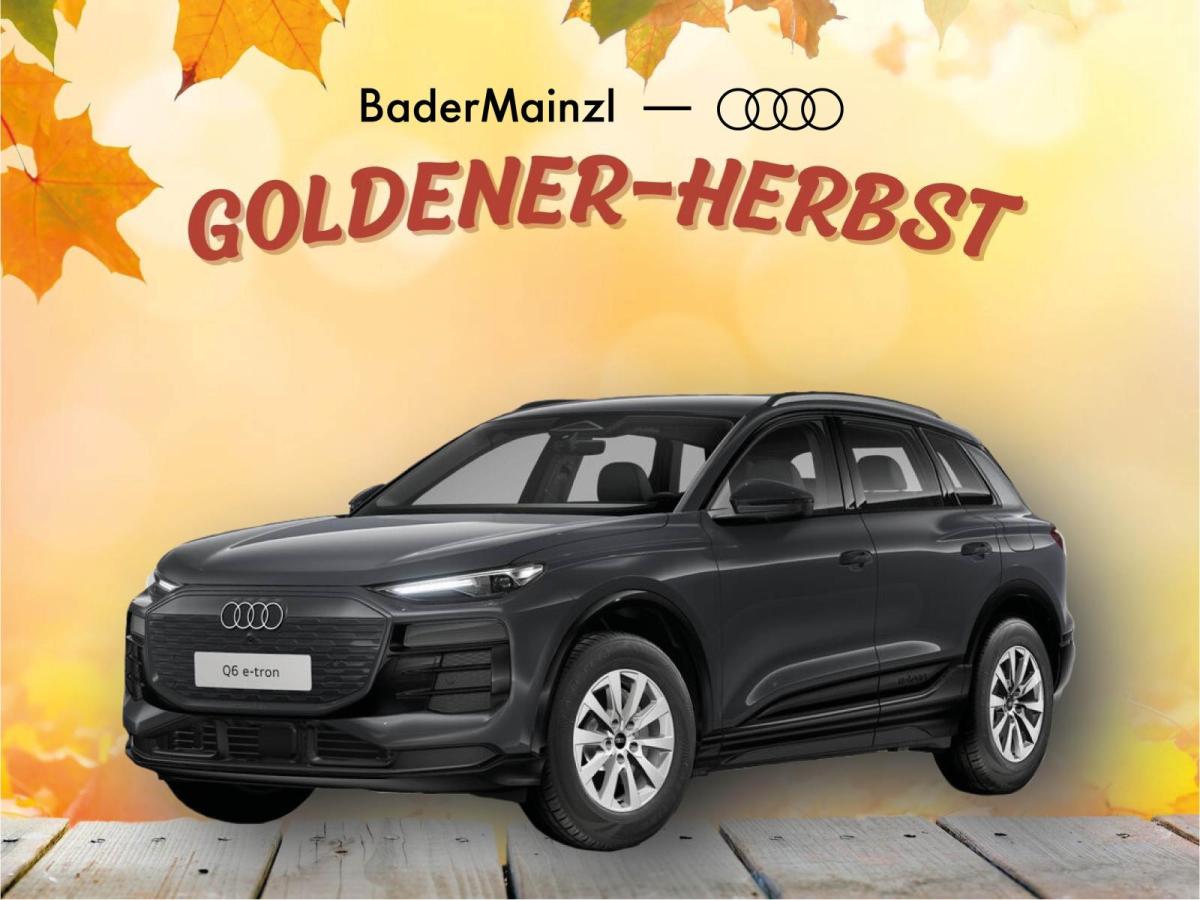 Audi Q6 e-tron "Herbst-Sales" GEWERBE-AKTION BaderMainzl!