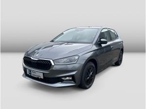 Skoda Fabia Selection 1,0 TSI DSG Infotainment Winter