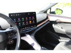 Cupra Tavascan 77kWh Endurance AHK NAVI WÄRMEP. LED ACC SHZ GRA 19