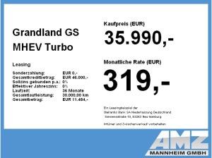Opel Grandland GS MHEV **Gewerbehammer**
