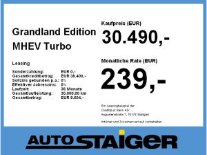 Opel Grandland Edition MHEV **Gewerbehammer**