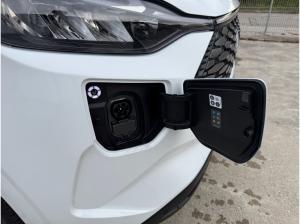 Ford Transit Custom Trend 320L1 Elektro RFK AHK