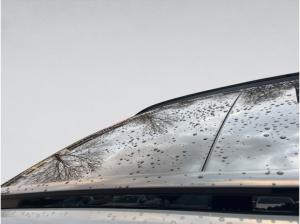 Hyundai TUCSON N-Line Automatik Pano Abstandstemp. LED