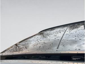 Hyundai TUCSON N-Line Automatik Pano Abstandstemp. LED