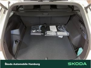 Skoda Kodiaq RS 2,0 TSI 7-Gang-DSG 4x4