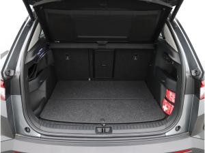 Skoda Elroq 60 Loft / Matrix, LED, Navi, RFK, SHZ, AHK