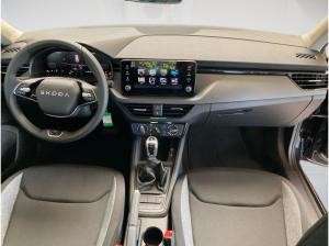 Skoda Kamiq 1.0TSI DSG AHK.WINTERPAKET.16 ALU