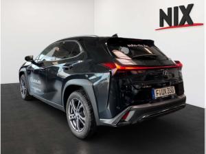 Lexus UX-300h F-Sport Design Adapt.TEMPOMAT LED EINPARKHILFE