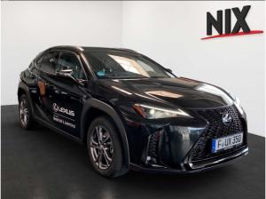 Lexus UX-300h F-Sport Design Adapt.TEMPOMAT LED EINPARKHILFE
