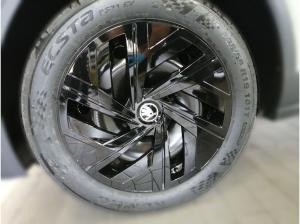 Skoda Elroq 50 Tour 55 kWh Batterie Elektromotor 1-Gang-Automatik zzgl. 500€ Zusatzprämie*