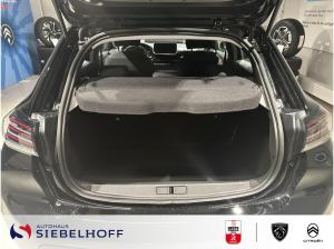 Peugeot 208 Style Benzin 100 *März Aktion*