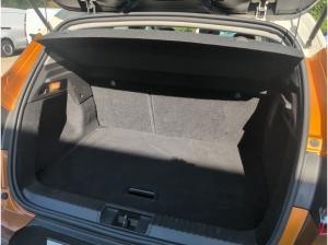 Renault Captur 1.0 TCe 100 LPG Intens