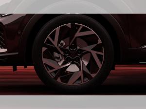 Renault Arkana Esprit Alpine Mild Hybrid 160/BOSE/SHZ