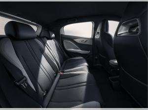 BYD DOLPHIN SURF Comfort