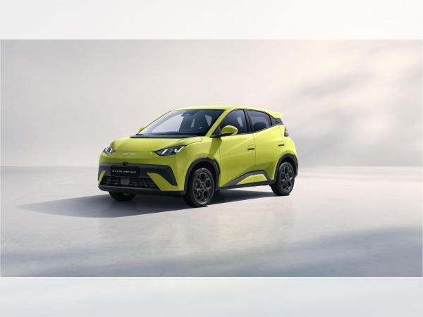 BYD DOLPHIN SURF Comfort