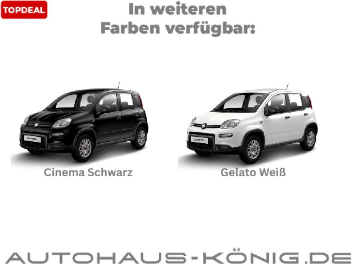 Fiat Panda Eurostar | König Black Deals 2025 🖤 | Sofort verfügbar❗️