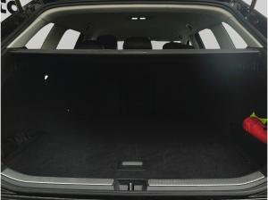 Volkswagen Passat Variant Business 2.0l TDI +AHK+AREAVIEW+WINTER+