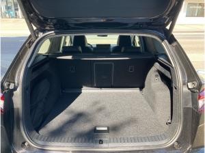 Skoda ENYAQ 60 20" ACC Kamera SHZ Matrix-LED AHK*SOFORT VERFÜGBAR*