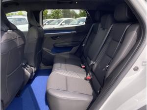 Renault Scenic Esprit Alpine 220 Long Range - Gewerbe