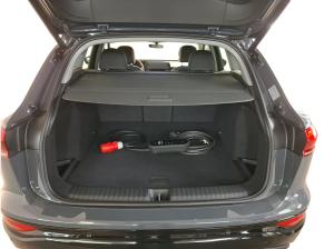 Audi Q6 e-tron Matrix 360° 4xSHZ ACC 19