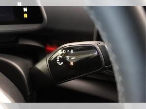 Cupra Tavascan Endurance Adrenaline-Pack 21 AHK HEAT-PUMP PANO MATRIX HUD
