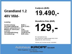 Opel Grandland 1.2 48V Mild- W Edition