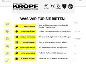 Opel Vivaro Kasten 2.0 D (L2) Basis M ACC+Kam.+PDC