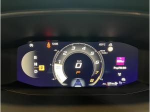 Cupra Formentor VZ 333PS Allrad 4Drive DSG el.HK|Winter|LED