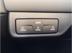 Cupra Terramar 2.0 TSI 195 kW 4Drive VZ SENNH. AHK SHZ MATRIX-LED