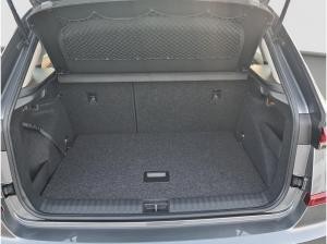 Skoda Kamiq 1.0 TSI DSG Selection LED AHK Winter