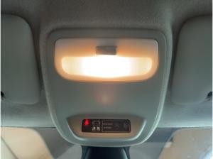 Renault Twingo TECHNO ELECTRIC 22 kWh BATTERIEKAUF