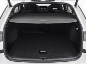 Skoda Octavia Combi RS 2.0 TSI AHK Navi Pano Winter Canton