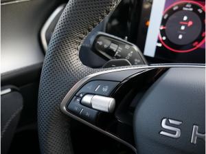 Skoda Kodiaq 2.0 TDI Sportline 4X4 LED MEMORY 7-SITZER *823*