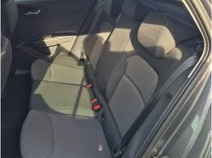 Skoda Fabia Limited Edition 1.0 TSI Kamera,App-Connect