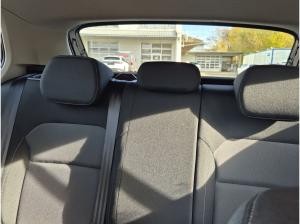 Skoda Fabia Limited Edition 1.0 TSI Kamera,App-Connect